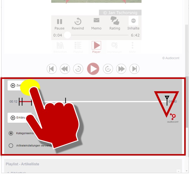 Turn on and off chapter types